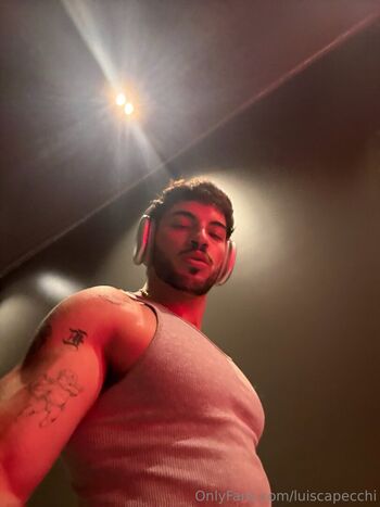luiscapecchi