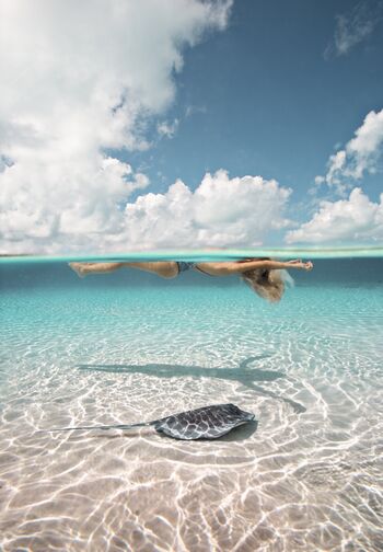 Scarlett Rose Leithold