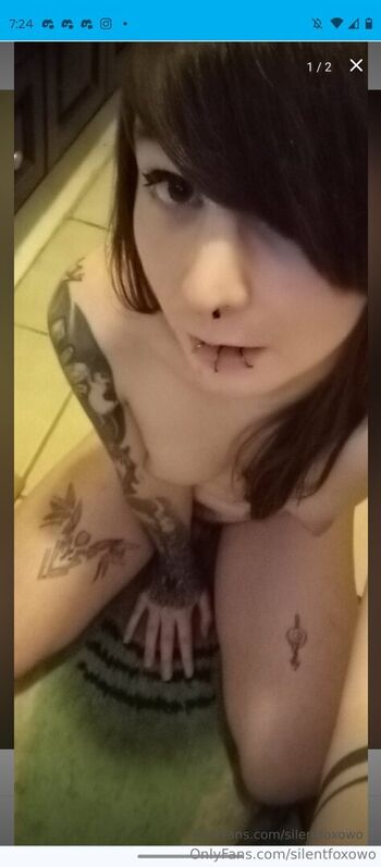 silentfoxowo